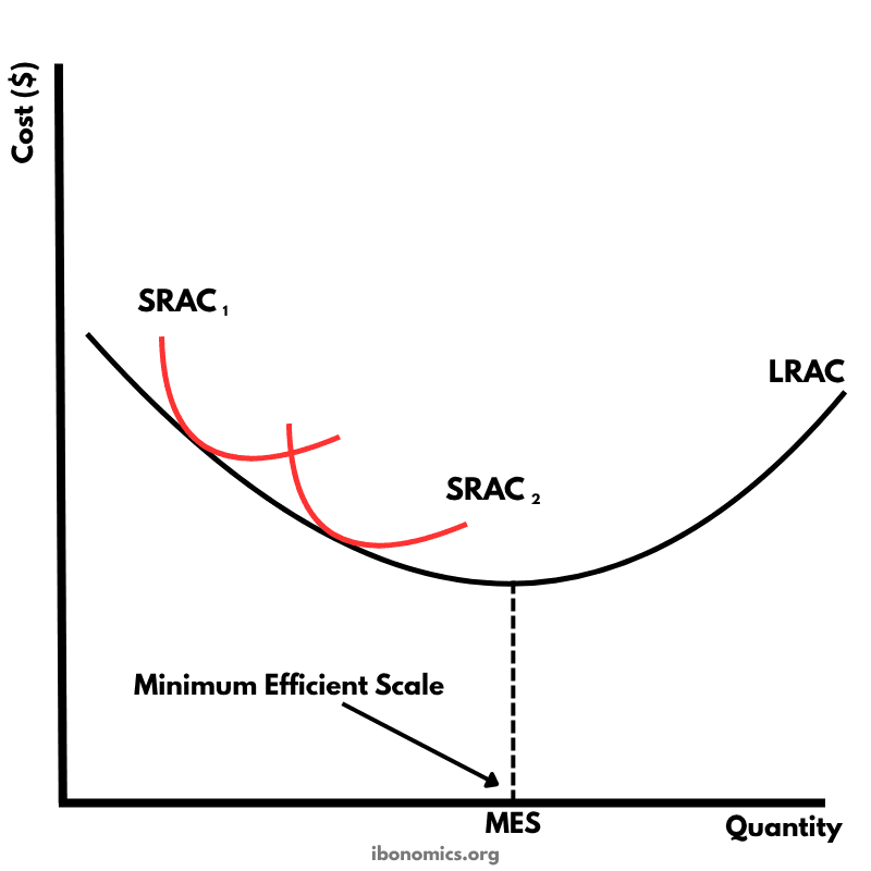Long Run Average Cost and Minimum Efficient Scale | IB Economics Diagrams