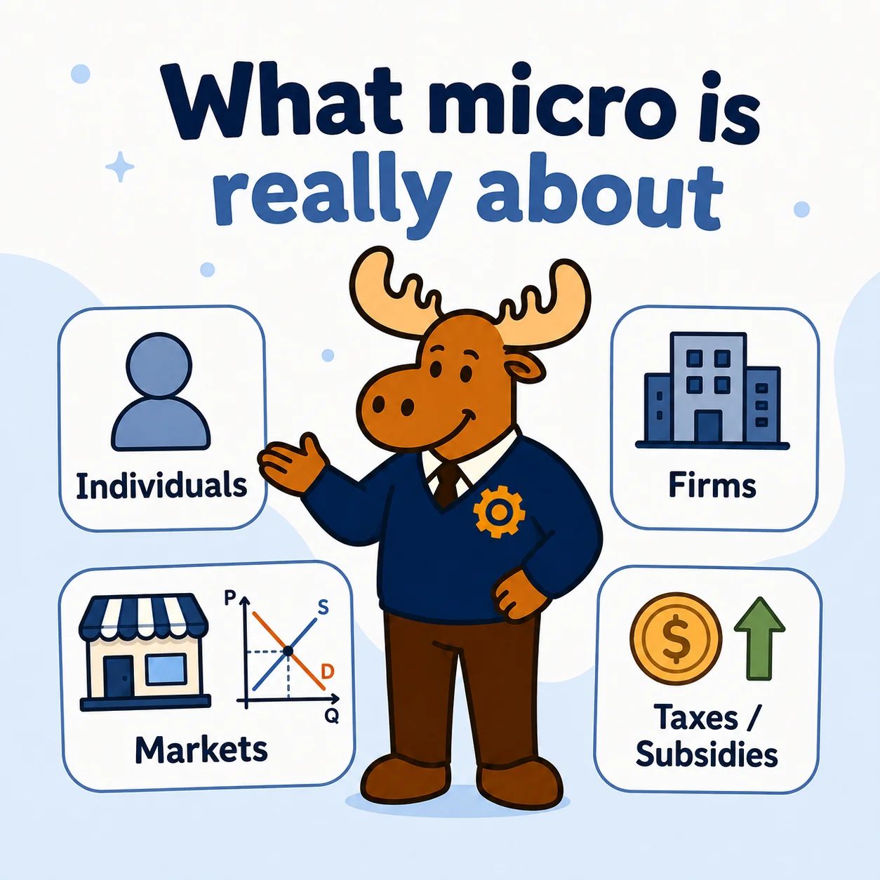 Microeconomics visual explaining what the subject is about and why market decisions matter